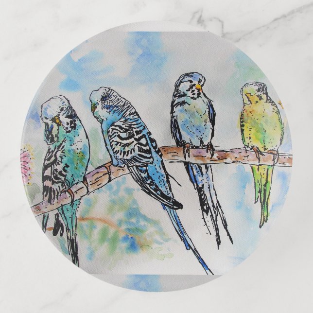 Budgie Watercolour Painting Bird birds Whimsical Trinket Tray (Front)