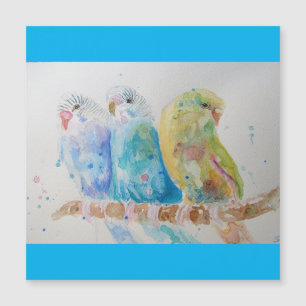 Budgie Watercolour Painting bird Budgies Aqua Teal