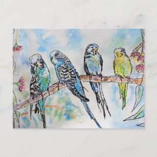 Budgie Watercolour Painting bird Budgies Aqua Teal Postcard