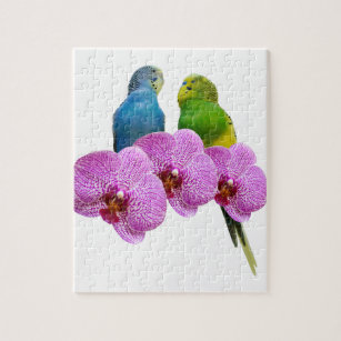 Budgie with Purple Orchid Jigsaw Puzzle