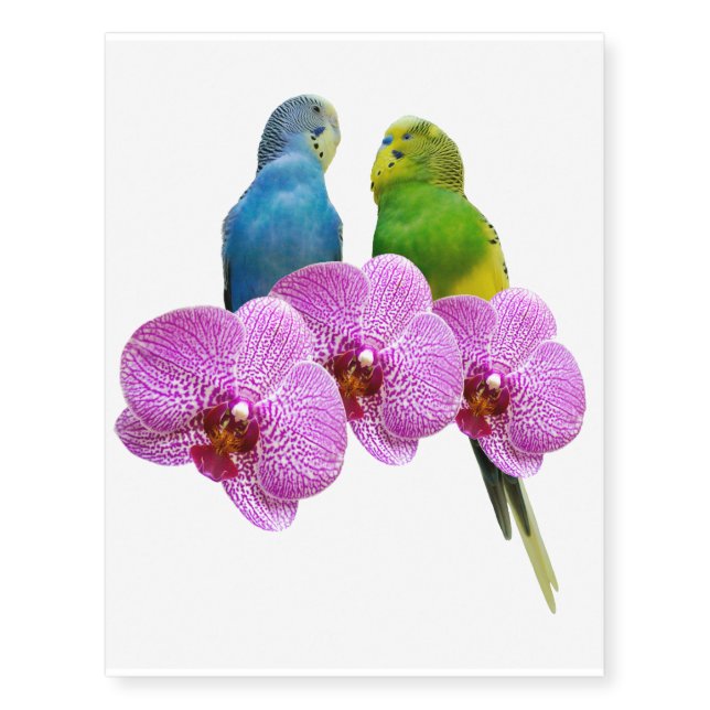 Budgie with Purple Orchid Temporary Tattoos (Front)
