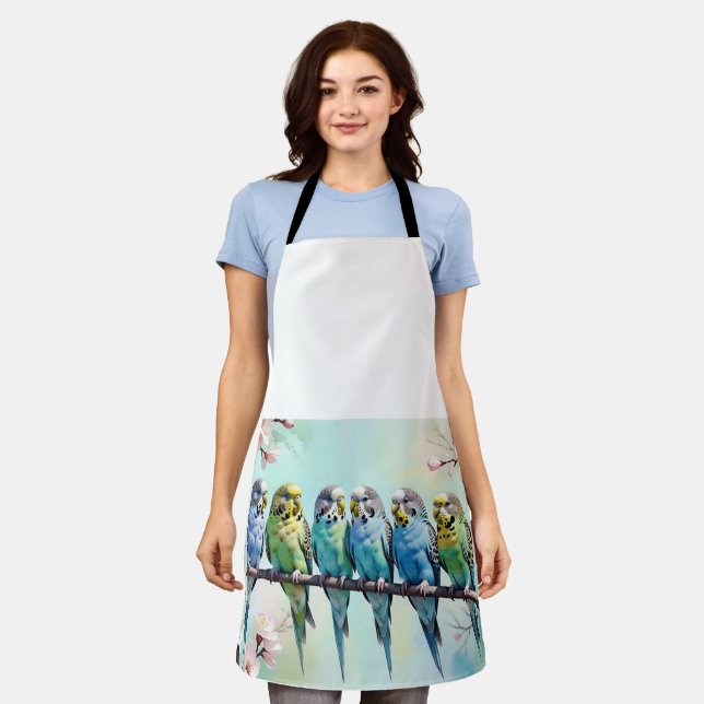 Budgies  apron (Worn)