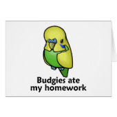 Budgies ate my homework (Front Horizontal)
