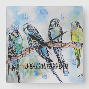 Budgies Budgie Budgerigar Bird Mens Name Square Wall Clock