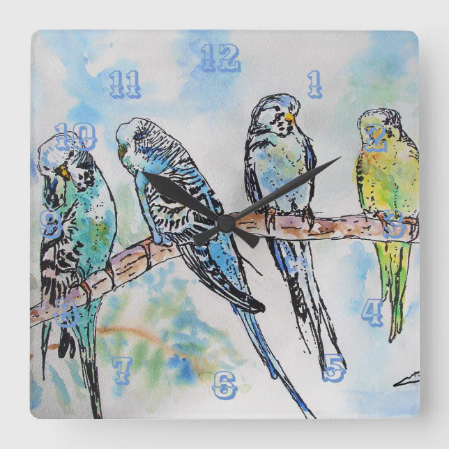 Budgies Budgie Budgerigar Bird Room Clock | Zazzle