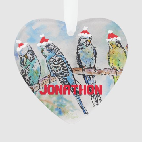 Budgies Budgie Christmas Childs Name Decoration