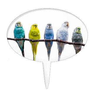 Budgies Cake Topper