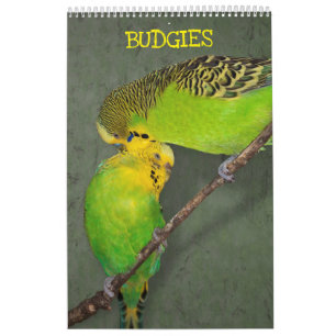 Budgies Calendar
