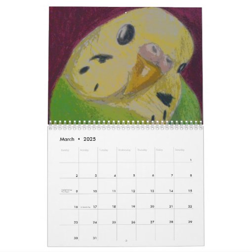 Budgies Calendars Zazzle
