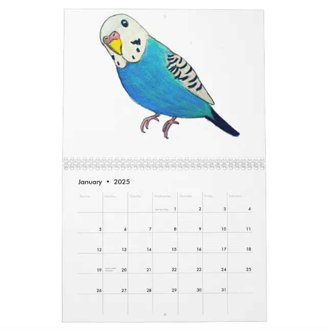 Budgies Calendars Zazzle