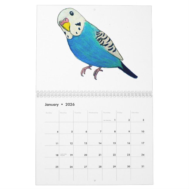Budgies Calendars (Jan 2026)