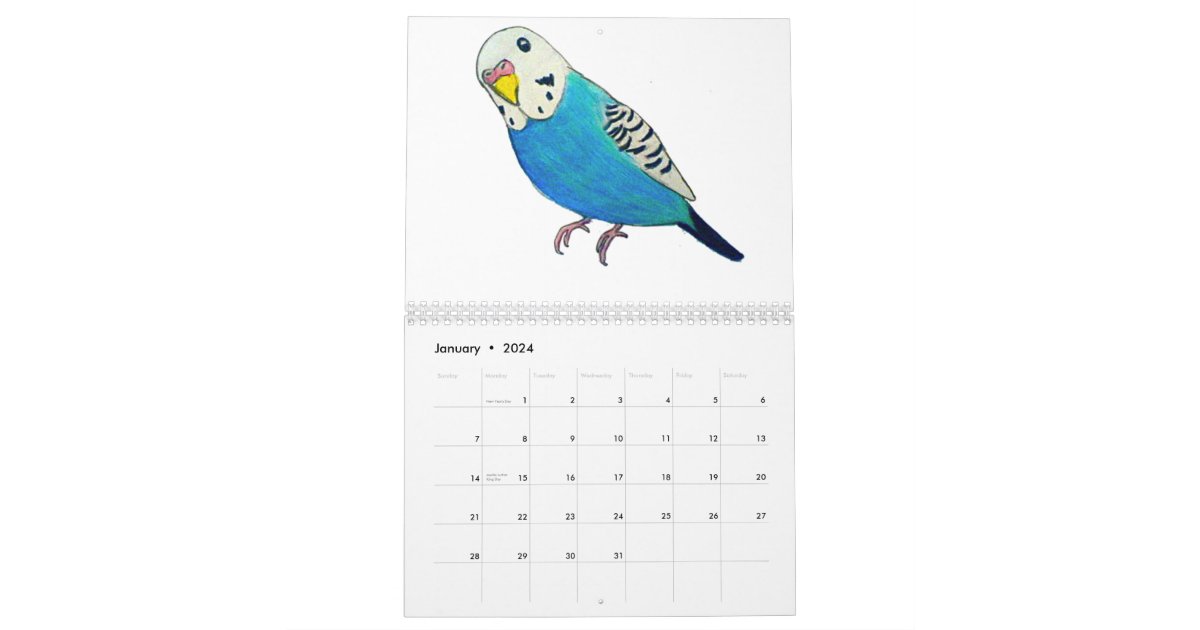 Budgies Calendars Zazzle