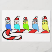 Budgies- Christmas (Front)