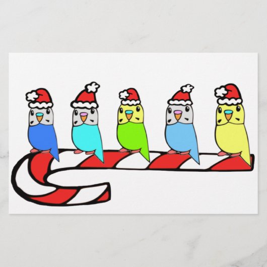 Budgies- Christmas (Front)