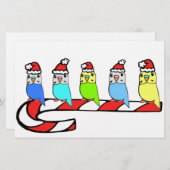 Budgies- Christmas (Front/Back)