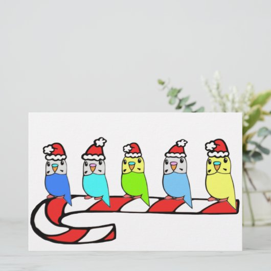 Budgies- Christmas (Standing Front)