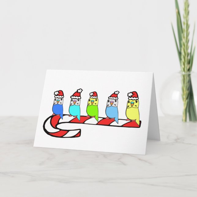 Budgies- Christmas Holiday Card (Front)