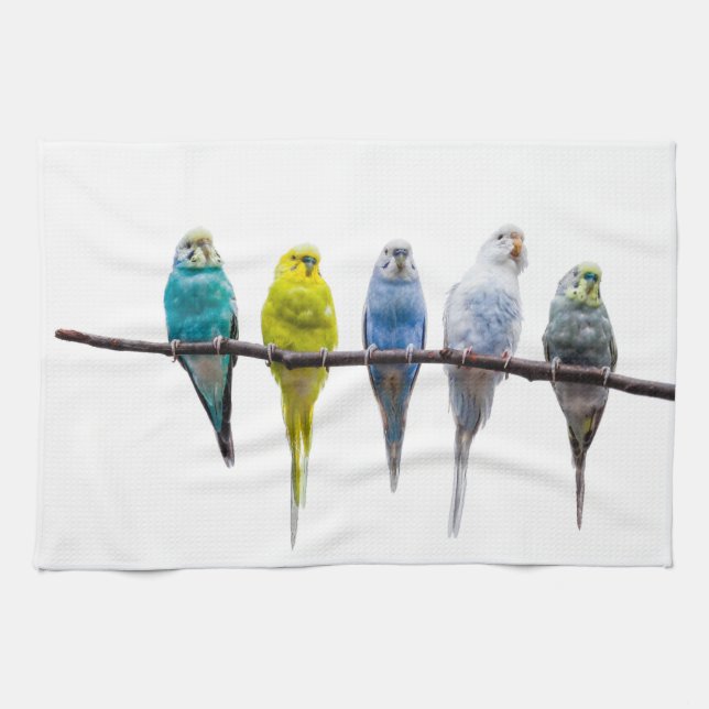 Budgies Kitchen Towel (Horizontal)
