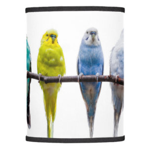 Budgies Lamp Shade