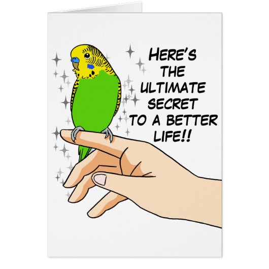 Budgies make life better cards (Front)