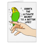 Budgies greeting card