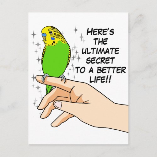 Budgies make life better postcard
