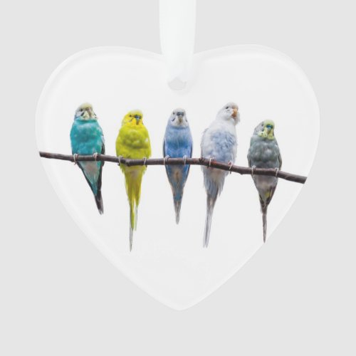 Budgies Ornament