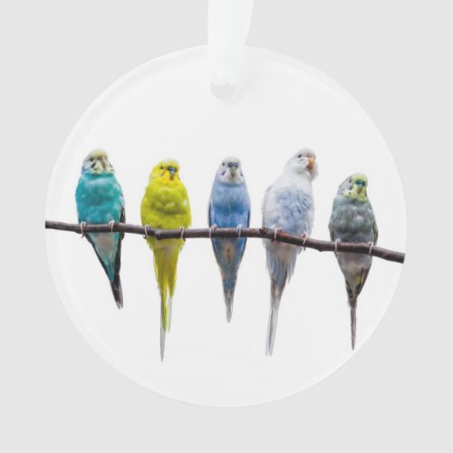 Budgies Ornament