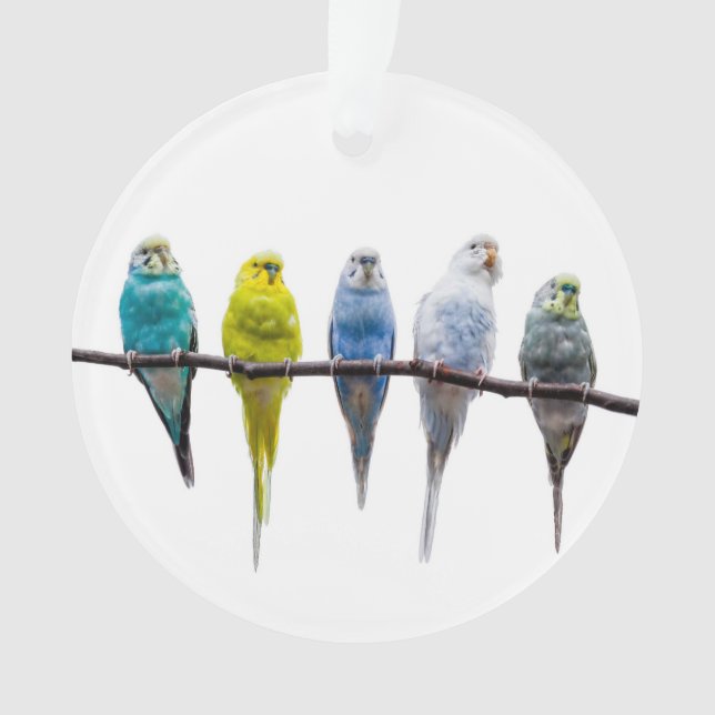Budgies Ornament (Front)