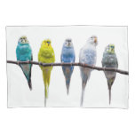 Budgies Pillow Case at Zazzle