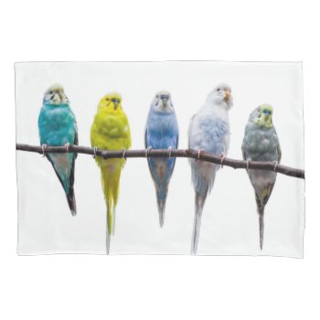 Budgies Pillow Case by PixLifeBirds at Zazzle