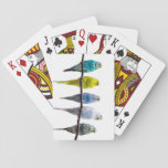 Budgies Playing Cards at Zazzle