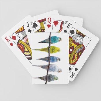 Budgies Playing Cards by PixLifeBirds at Zazzle