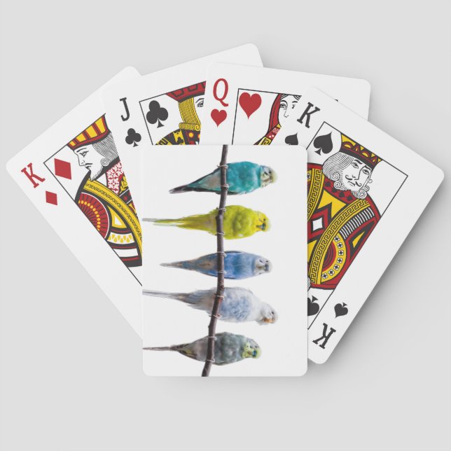 Budgies Poker Cards (Back)