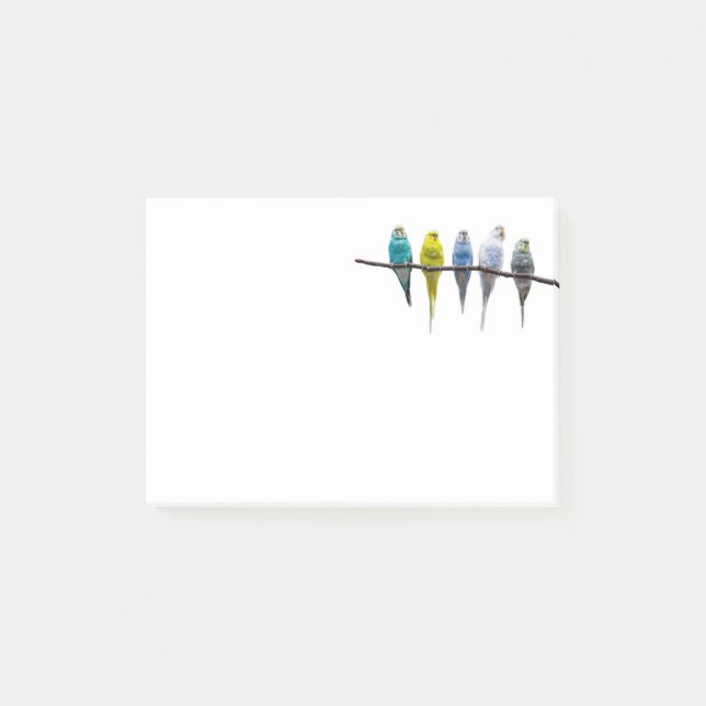 Budgies Post-it Notes (Front)