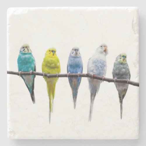 Budgies Stone Coaster