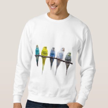 Budgies Sweatshirt by PixLifeBirds at Zazzle