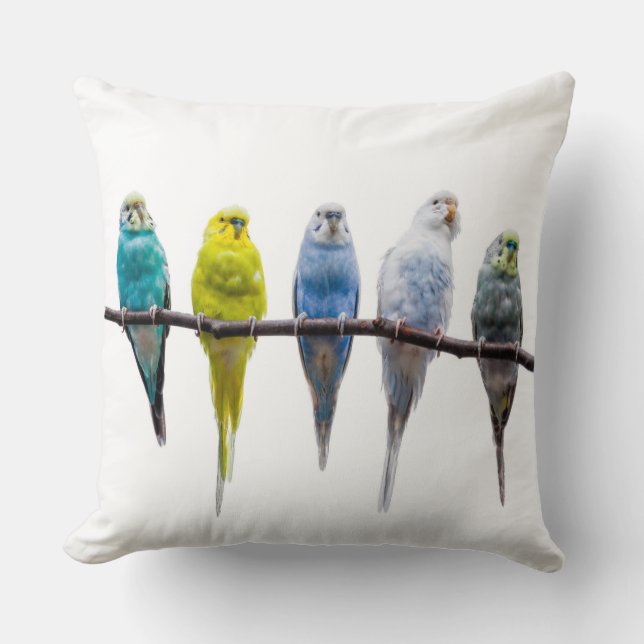 Budgies Throw Pillow (Front)