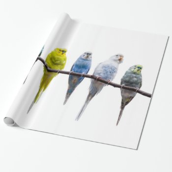 Budgies Wrapping Paper by PixLifeBirds at Zazzle