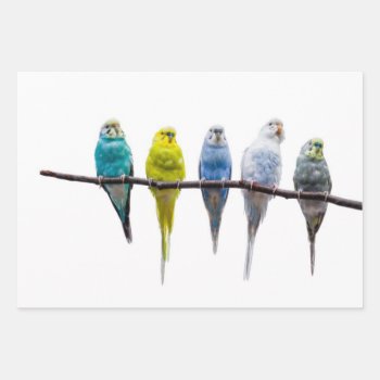 Budgies Wrapping Paper Sheets by PixLifeBirds at Zazzle