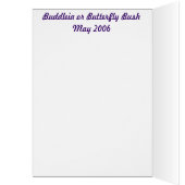 budlia 001 cards (Inside (Left))