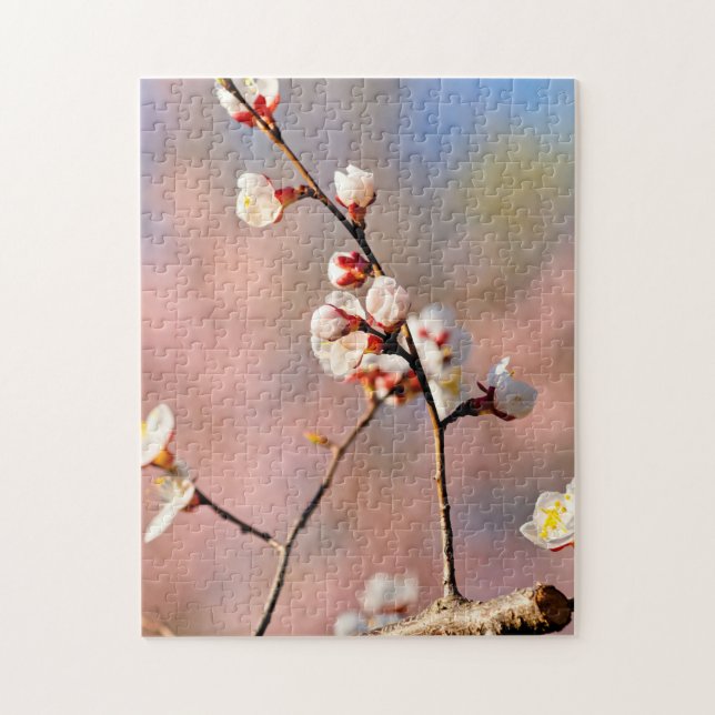 Buds Of Japanese Apricot Flowers In Spring Jigsaw Puzzle (Vertical)