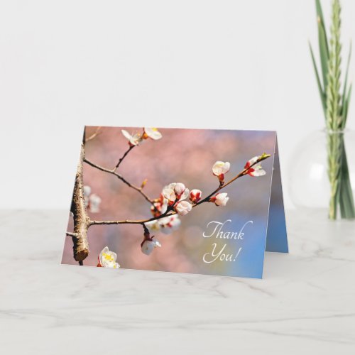 Buds Of Japanese Apricot Flowers Thank You Card