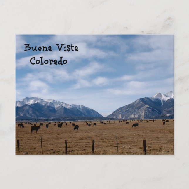 Buena Vista, CO Postcard (Front)