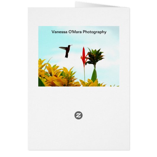 Buena Vista Colorado Hummingbird Card (Back)