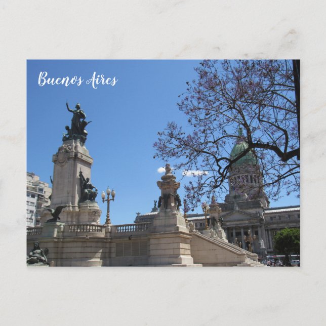 buenos aires congreso jacaranda postcard (Front)