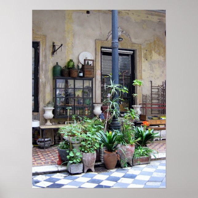 Buenos Aires Scene Poster (Front)