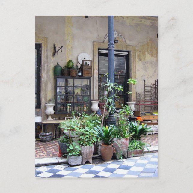 Buenos Aires Scene with Green Plants in Courtyard Postcard (Front)
