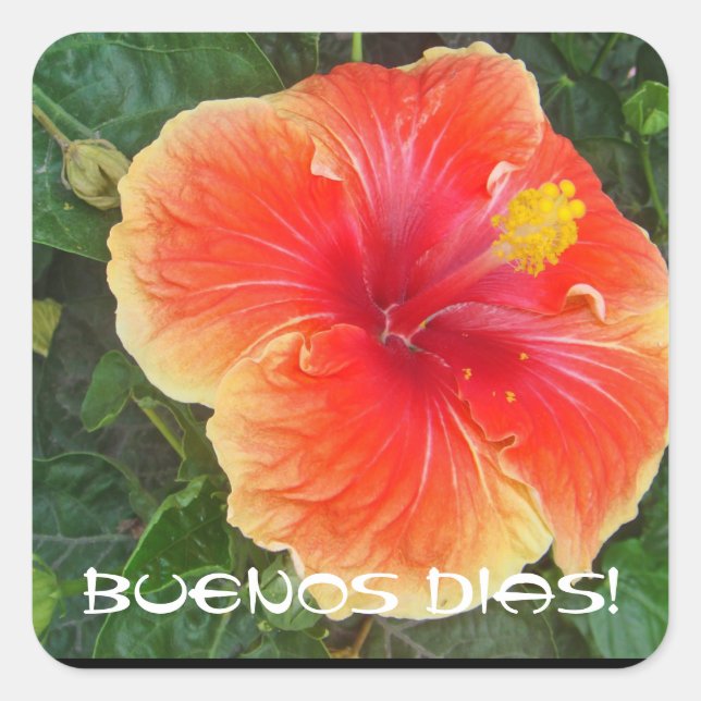 Buenos Dias Square Sticker (Front)
