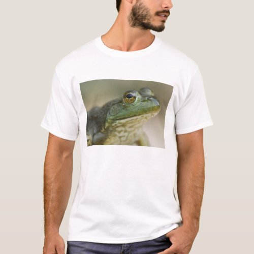 Bufallo National River Northwest Arkansas T_Shirt